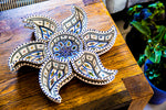5 x Star Plate Gift Bundle
