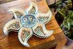 5 x Star Plate Gift Bundle