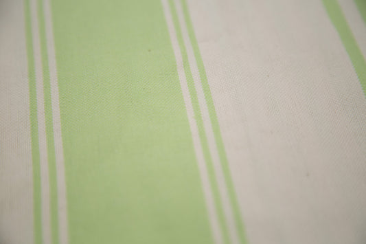 Lime Green Placemats: set of two-2136